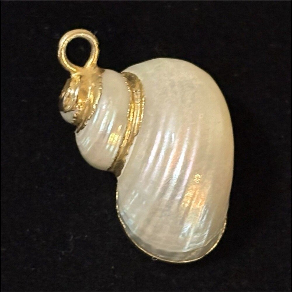 Vtg MOP Nautilus Shell Pendant Thick Gold Electroplated Trim Galveston TX Y2K